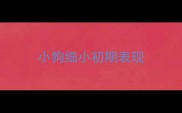 小狗细小初期表现