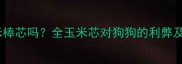 哈士奇能吃玉米棒芯吗全玉米芯对狗狗的利弊及安全食用指南
