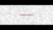 小狗狗粮自制配方