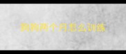 狗狗两个月怎么训练