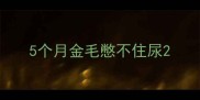 5个月金毛憋不住尿