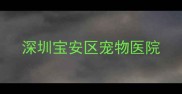 深圳宝安区宠物医院