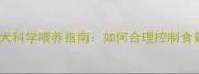 70天拉布拉多幼犬科学喂养指南如何合理控制食量与营养搭配