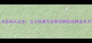 金毛犬血统认证全五大权威方法教你辨别纯种金毛犬特征