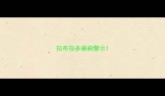 拉布拉多癫痫警示