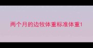 两个月的边牧体重标准体重