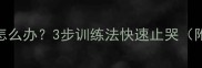 2个月泰迪犬爱叫怎么办3步训练法快速止哭附科学养育指南