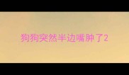 狗狗突然半边嘴肿了