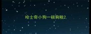 哈士奇小狗一顿狗粮