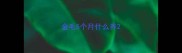 金毛5个月什么养