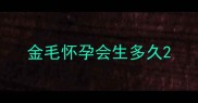 金毛怀孕会生多久