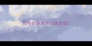 拉布拉多犬不训练方法