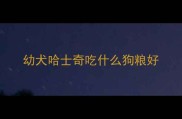 幼犬哈士奇吃什么狗粮好