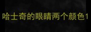 哈士奇的眼睛两个颜色