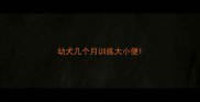 幼犬几个月训练大小便