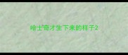 哈士奇才生下来的样子
