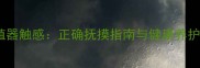 公猫生殖器触感正确抚摸指南与健康养护全攻略