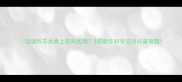 边境牧羊犬晚上狂叫乱跑5招教你科学应对兴奋难题