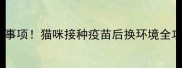 5大注意事项猫咪接种疫苗后换环境全攻略