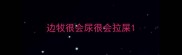 边牧很会尿很会拉屎