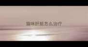 猫咪肝脏怎么治疗