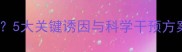 边境牧羊犬发育迟缓5大关键诱因与科学干预方案附成长曲线图