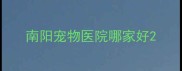 南阳宠物医院哪家好