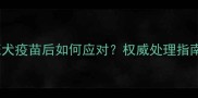宠物注射失效狂犬疫苗后如何应对权威处理指南及预防措施全