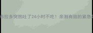 救命拉布拉多突然吐了24小时不吃亲测有效的紧急处理指南
