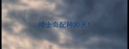 哈士奇配种30天