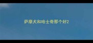 萨摩犬和哈士奇那个好
