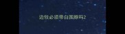 边牧必须带白围脖吗