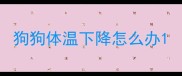 狗狗体温下降怎么办