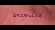 猫咪宠物链怎么戴