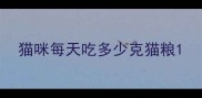猫咪每天吃多少克猫粮