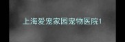 上海爱宠家园宠物医院