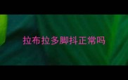 拉布拉多脚抖正常吗