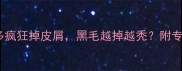 救命我家拉布拉多疯狂掉皮屑黑毛越掉越秃附专业护理指南附图