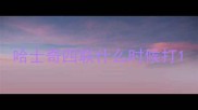 哈士奇四联什么时候打