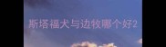 斯塔福犬与边牧哪个好