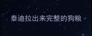 泰迪拉出来完整的狗粮