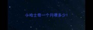 小哈士奇一个月喂多少
