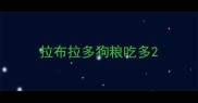 拉布拉多狗粮吃多