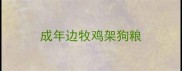 成年边牧鸡架狗粮