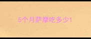 5个月萨摩吃多少