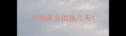 小狗最多挨饿几天