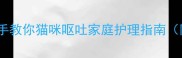 吐了别慌手把手教你猫咪呕吐家庭护理指南附安全用药清单