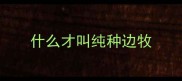 什么才叫纯种边牧