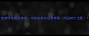 宠物猪常见品种全饲养指南与注意事项附品种对比图