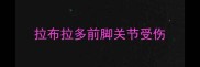 拉布拉多前脚关节受伤